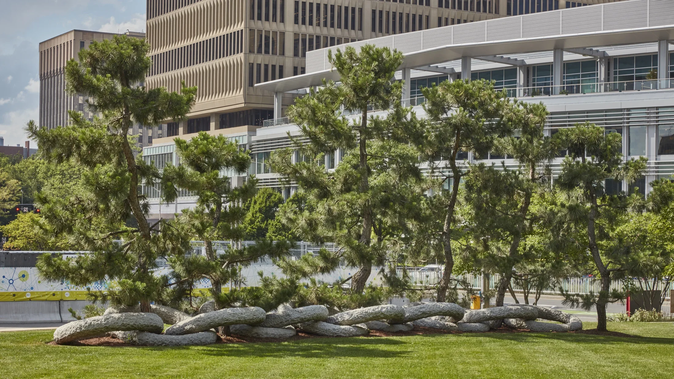 Area of grass with a stone edge featuring a group of pine trees with large granite rings linking at the base of the trees. 