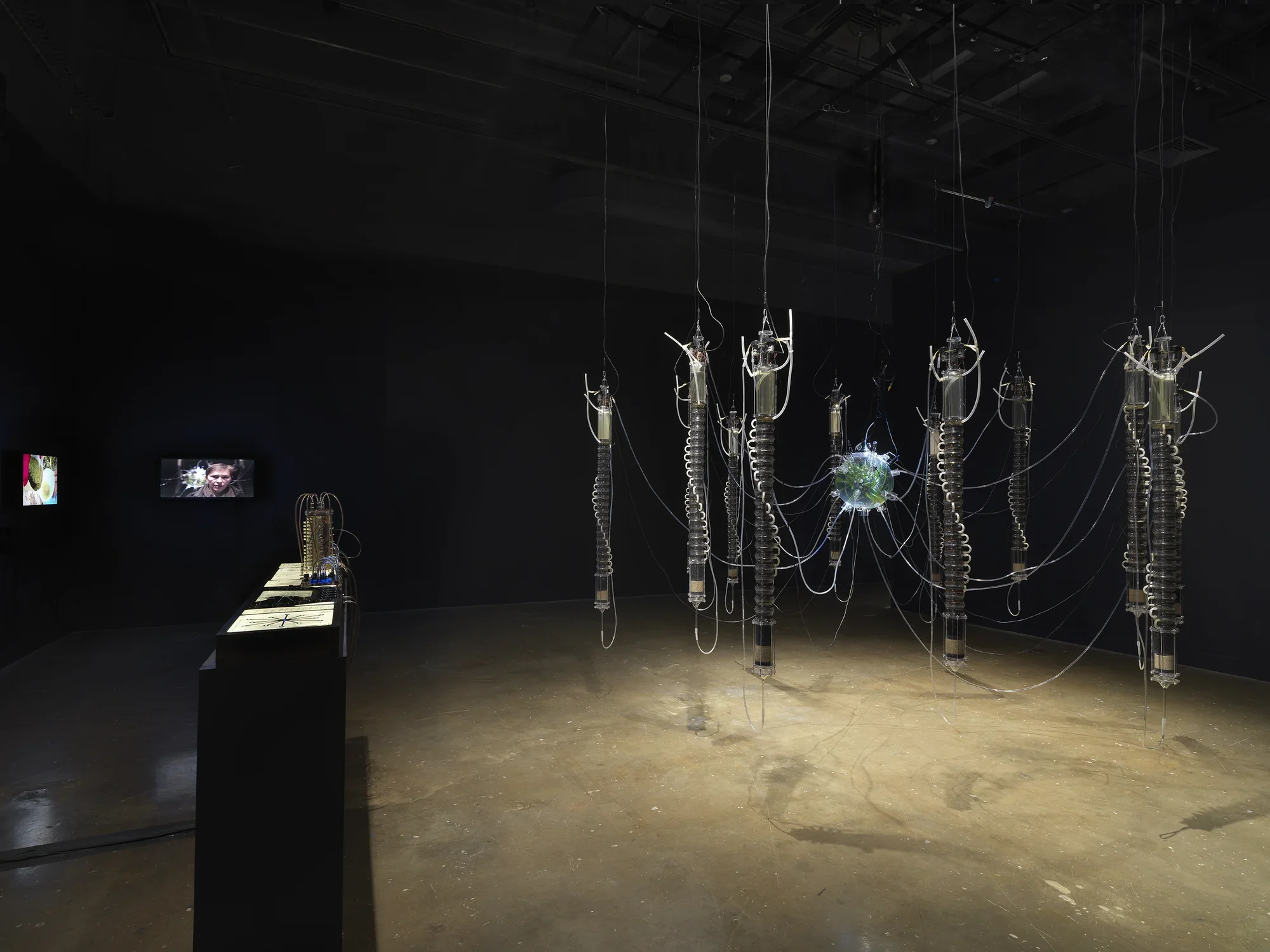 : In a dark room, a large hanging sculpture made of glass, algae, and water hung from above that resembles a spider, across from a table lit to display scientific documents. Adjacent is a two-channel video.