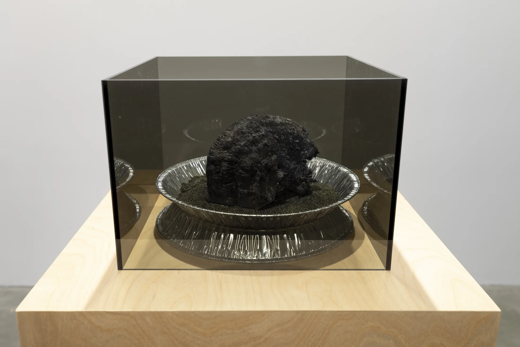 A smoke-grey transparent Plexiglas box with the top open contains the by-product of an exothermic reaction. The by-product is a solid black carbon form that has a serpent-like structure and sits inside an aluminum pie pan with black sand. The box is sitting on a tan wooden pedestal.