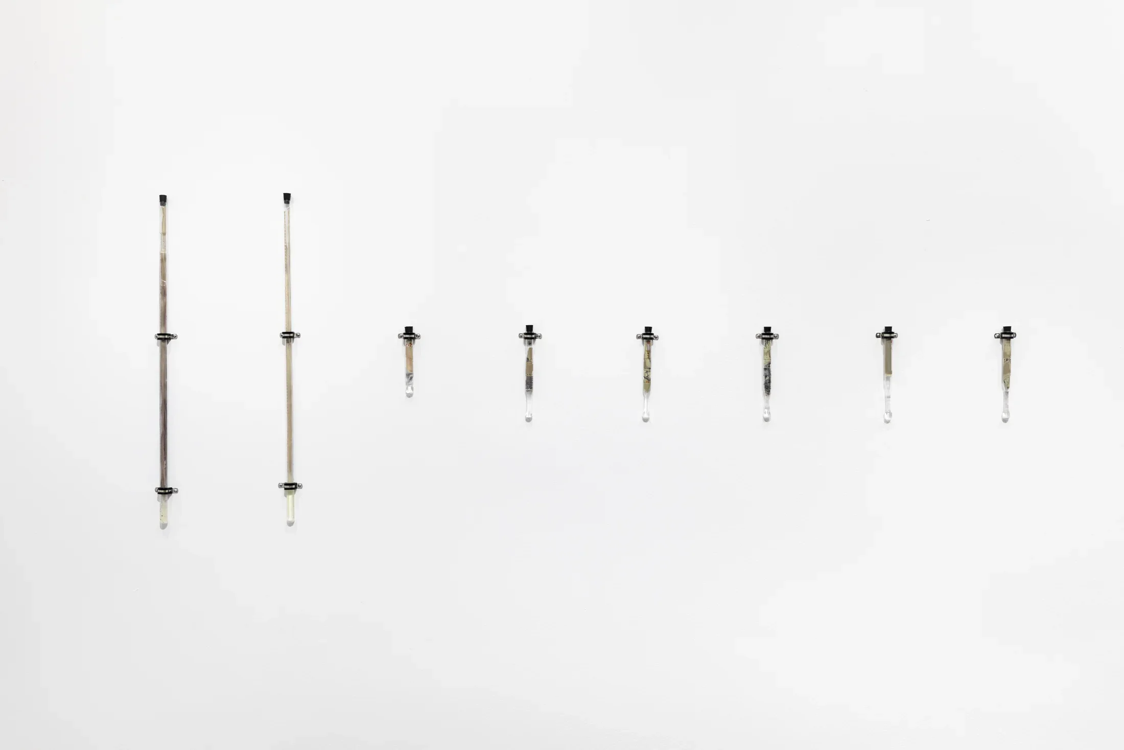 Eight borosilicate glass test tubes are mounted onto a white wall using silver metal brackets. The test tubes all have black stoppers in the top. Reclaimed silver from expired photographic film and paper with sodium hypochlorite can be seen in the test tubes.