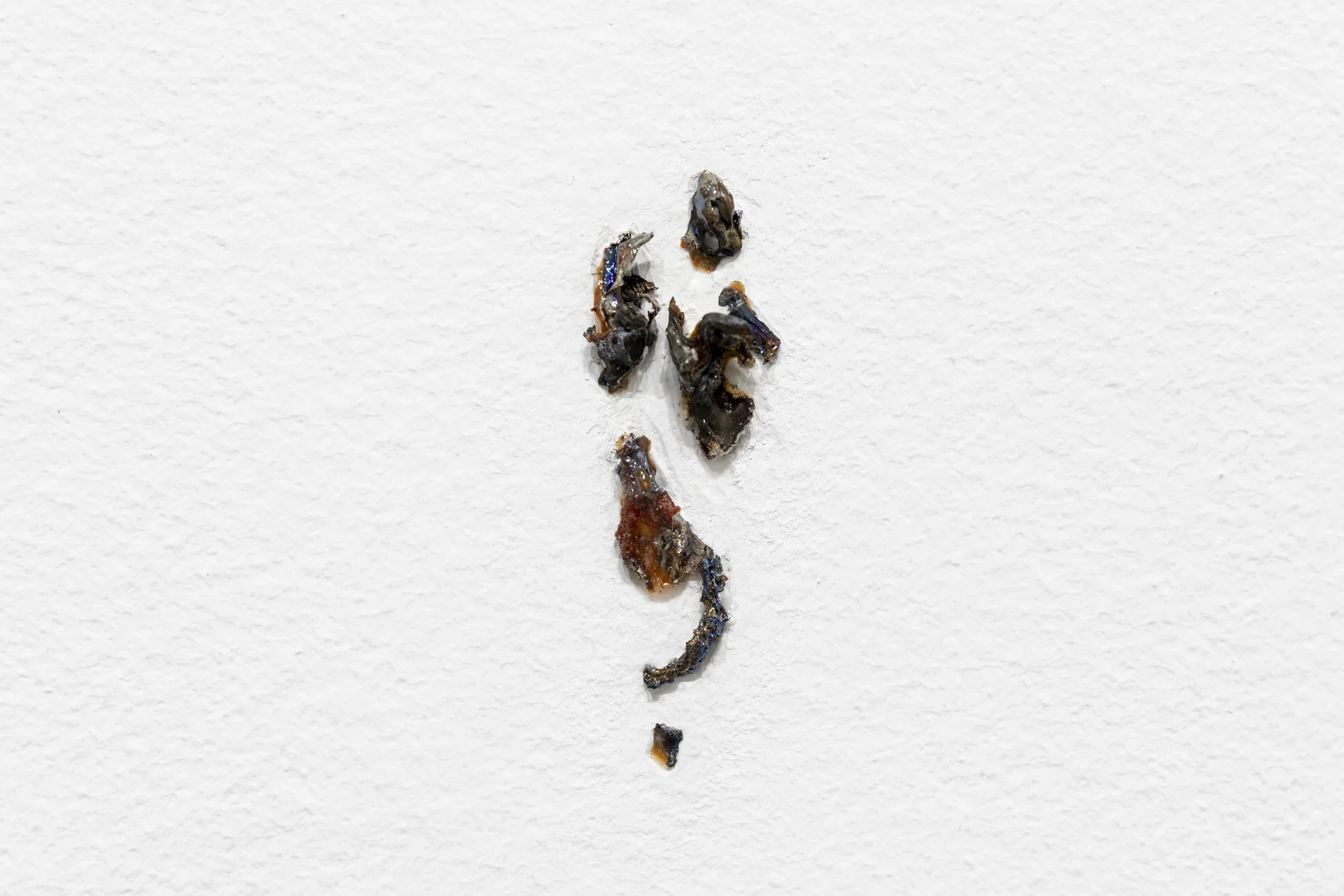 Byproduct of the reaction between reclaimed silver from expired photographic film and sodium hypochlorite embedded into a white wall.