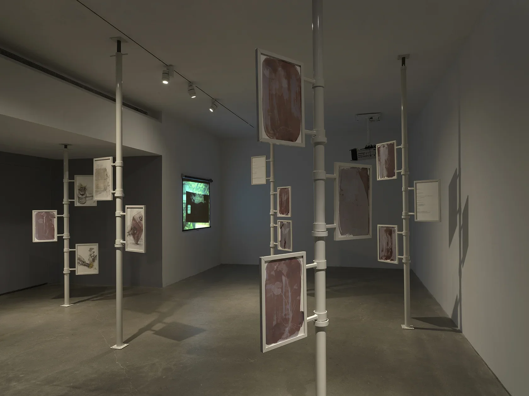 Five metal poles extend from floor to ceiling, each with three framed works of paper attached. The two drawings closest to the camera show the pale impression of plants against mauve backgrounds, produced through cameraless photography. In the background, a film is projected onto the wall; the frame shown is green and is layered with a second smaller image with a sprocket hole.