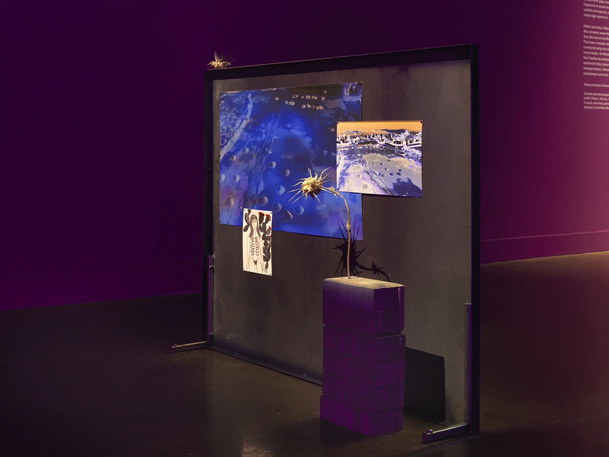 Vertical metal panel is spotlit and bolted to the floor. Affixed to the panel, a large abstract blue photo is overlaid with a smaller abstracted image, perhaps a landscape. Overlapping the lower edge of the blue image, a small drawing depicting a woman with marks across her torso and a black cactus behind her is affixed to the panel. In front of the panel, a stack of bricks with a thistle growing out of them is displayed. On the purple wall in the background, text in the upper right corner peeks into frame