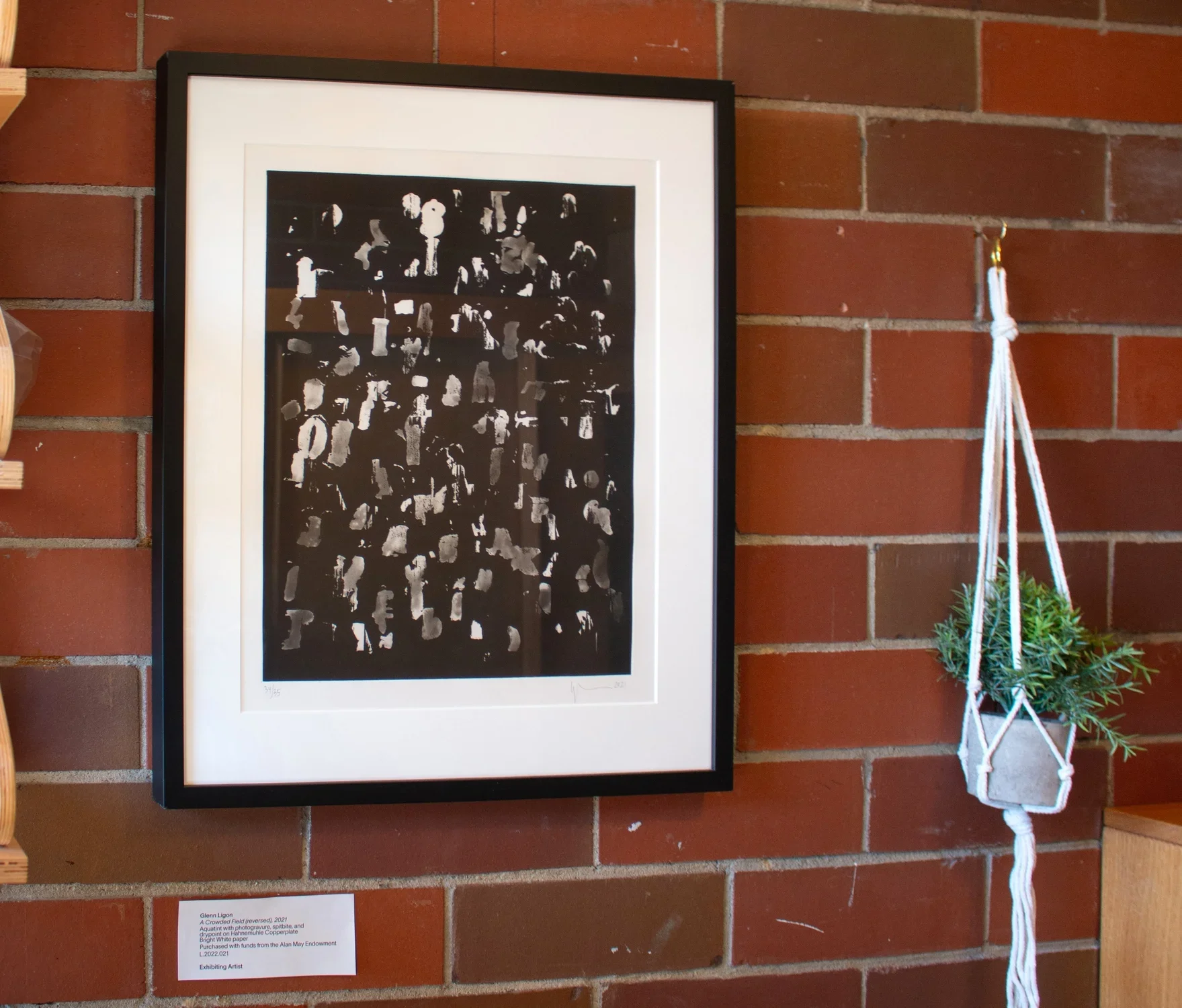 An artwork with a black frame mounted on a brick wall to the left of a hanging plant.