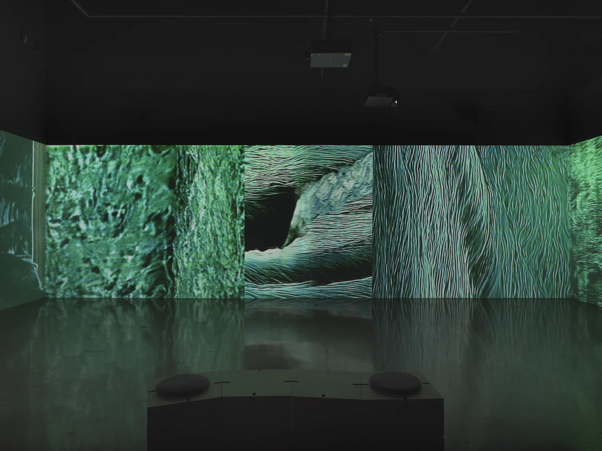 A continuous surface of projected video fills an entire wall, and on either side of‬ ‭the image, starts to wrap around the corners. The images are abstract textures and‬ ‭sinuous lines of blue-green and black, sometimes recalling the surface of a body of‬ ‭water.‬ ‭