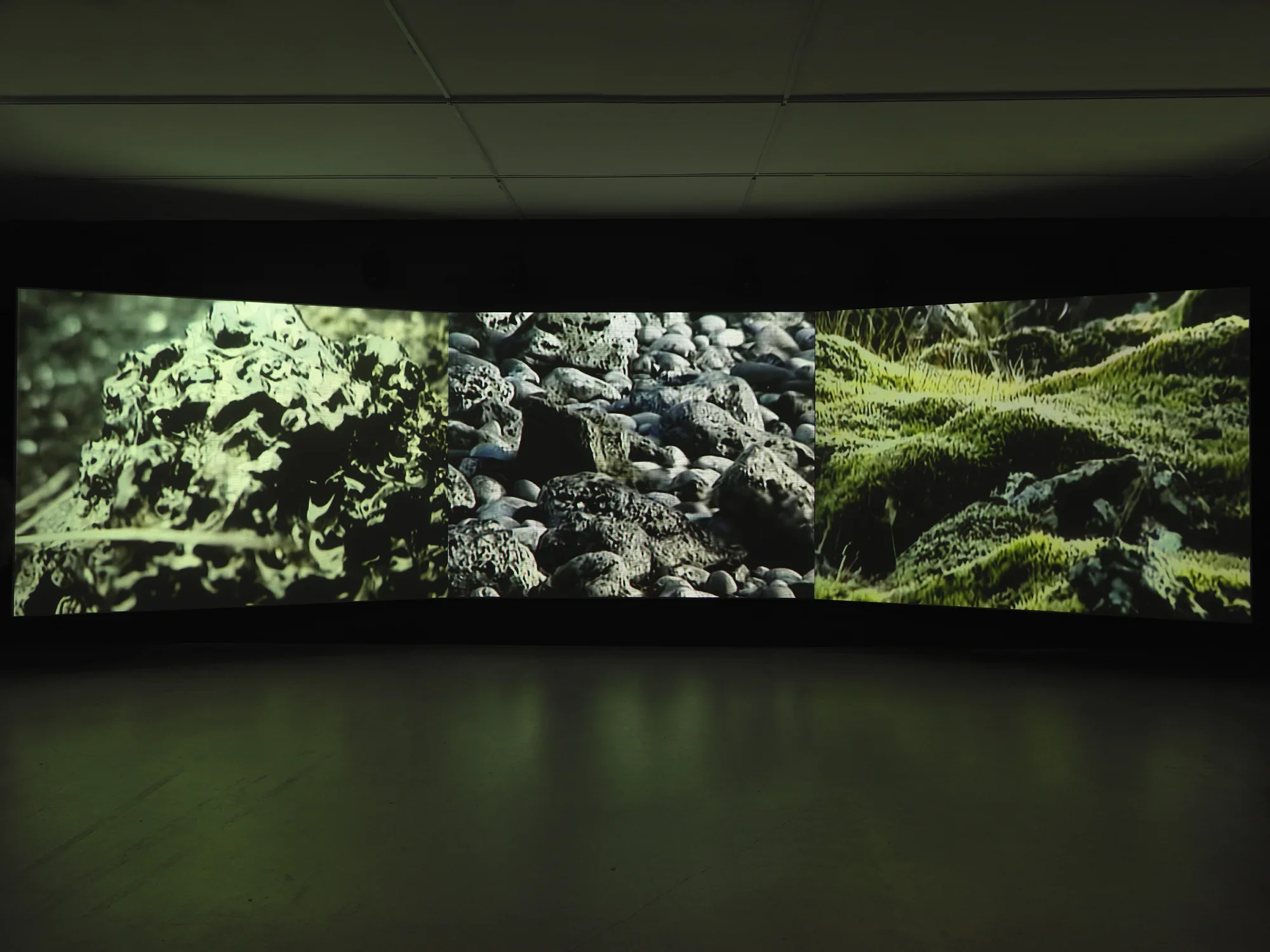 The wall of a dark gallery is illuminated by three video projections. Each shows‬ ‭ the close-up texture of a natural substance: the left shows ice; the middle shows dark‬ ‭ lava rocks; the right shows a lumpy surface of moss.‬