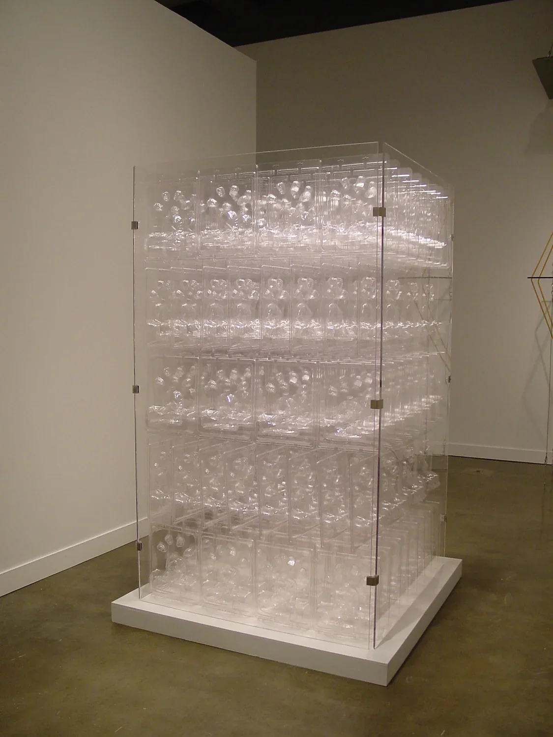 Plastic forms fill tall plexiglass box on a white platform in gallery space