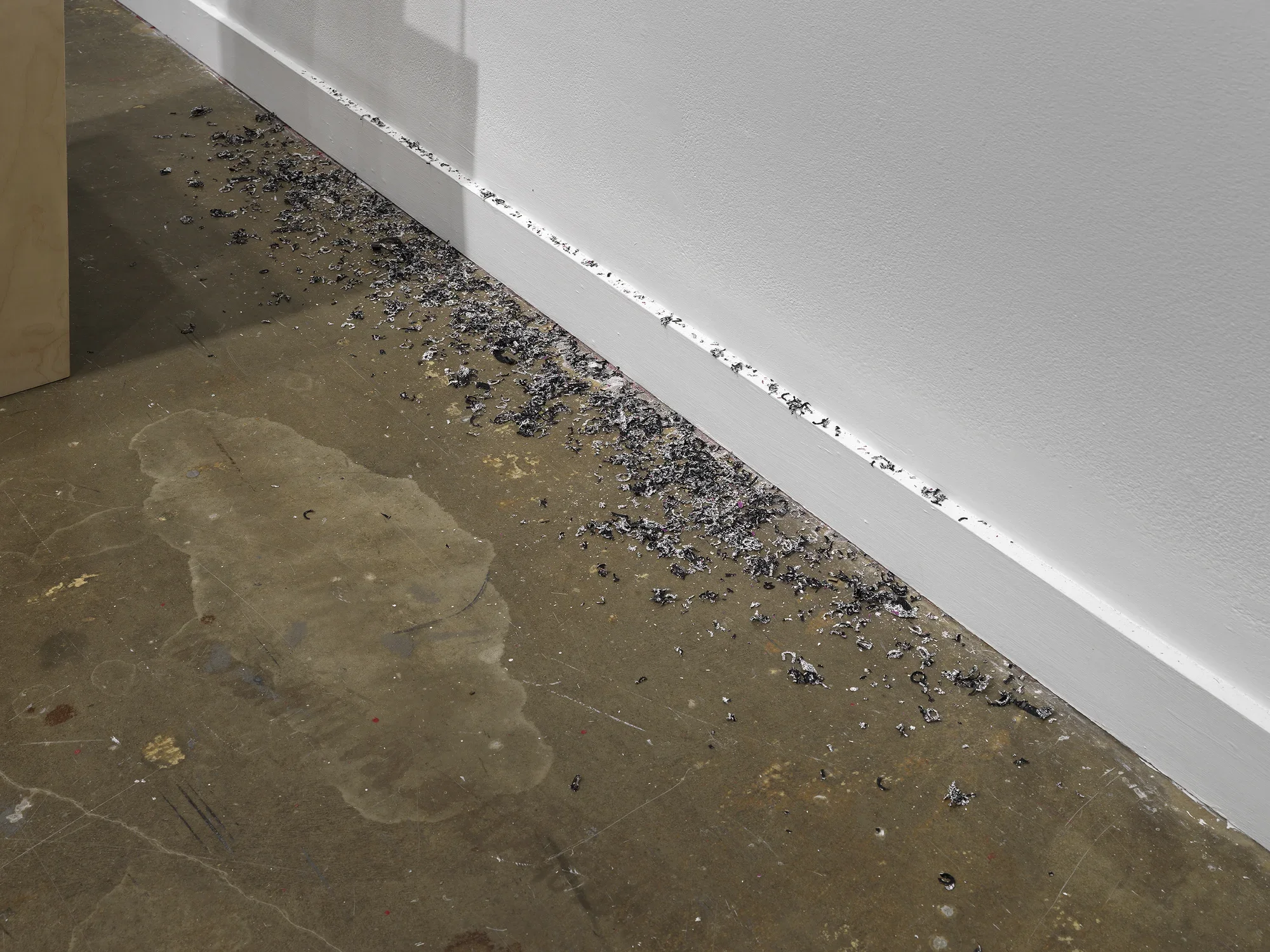 A close-up view of delicate black and white shavings sitting on the floor, where a white wall meets the ground. They recall lichen or ash.