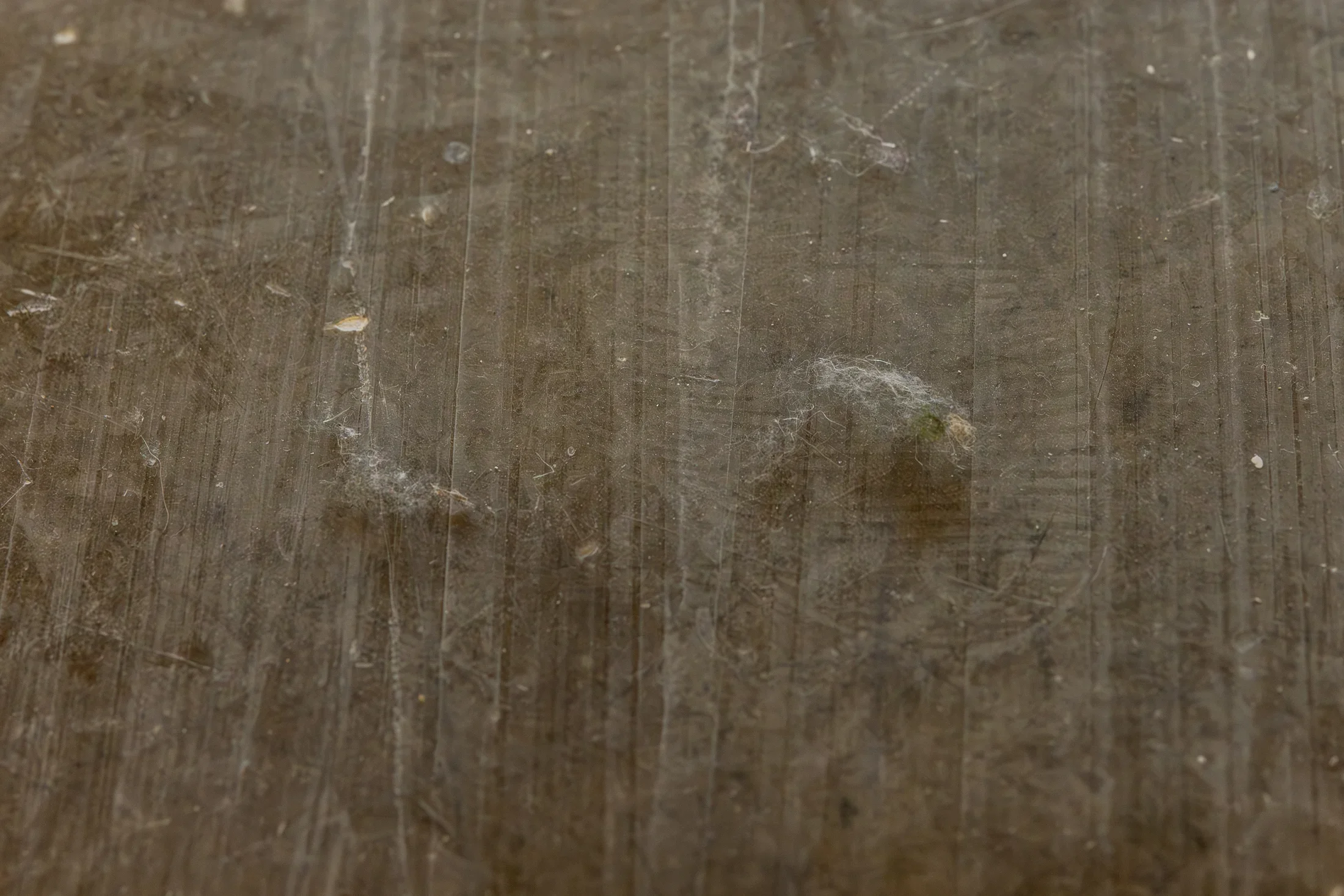 A close-up of a dark floor with various light marks and striations. A large dust bunny sits atop a footprint. 