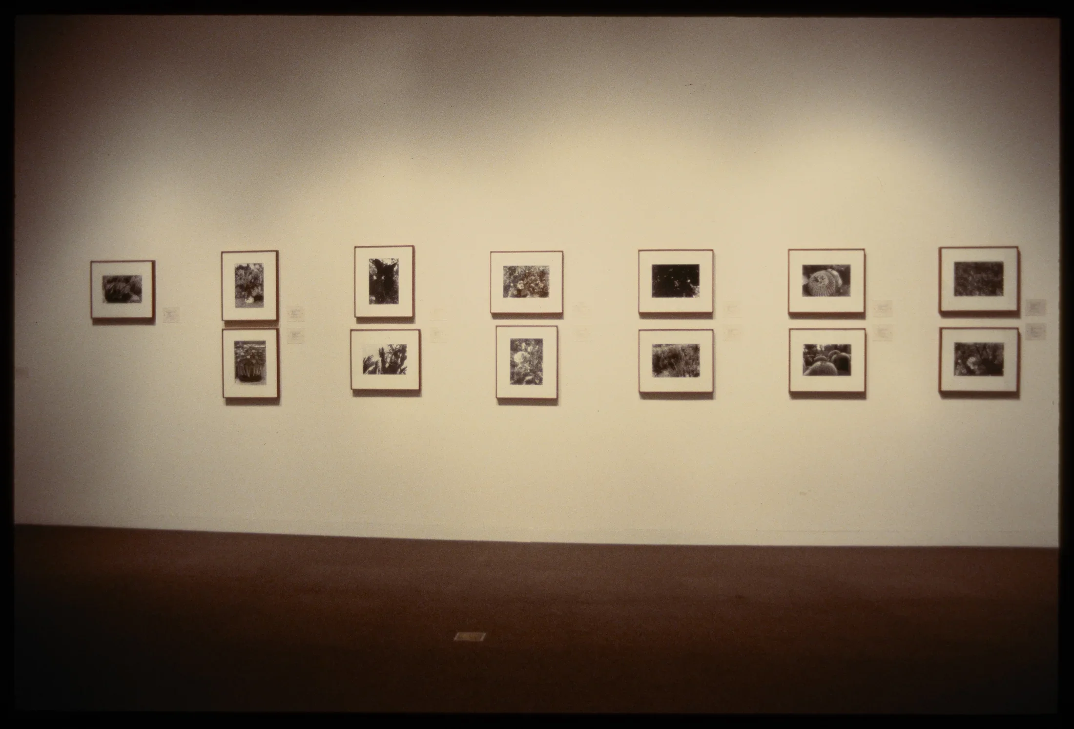 Thirteen framed black and white photos hang in two rows on the wall.