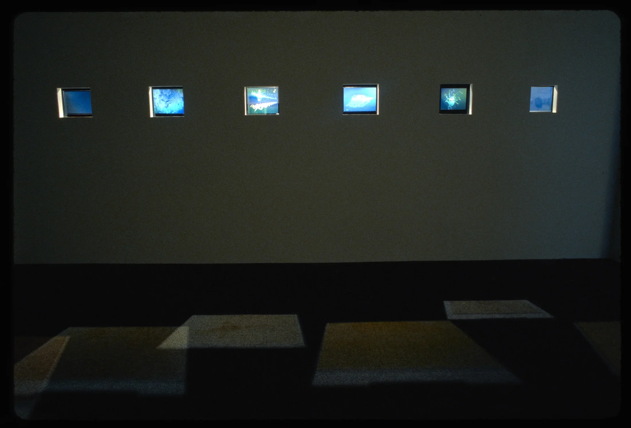 Six small holographic screens shine in the dark gallery, projecting images onto the floor below. 