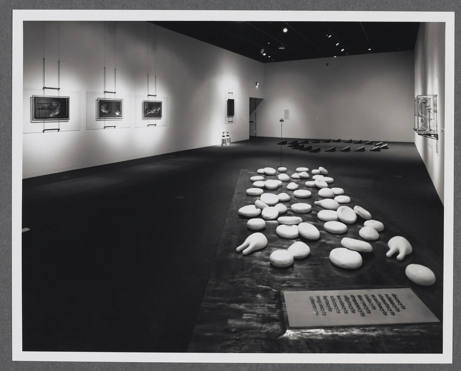 Three dimensional installations are configured on the gallery floor. Each is made of multiple pieces. 