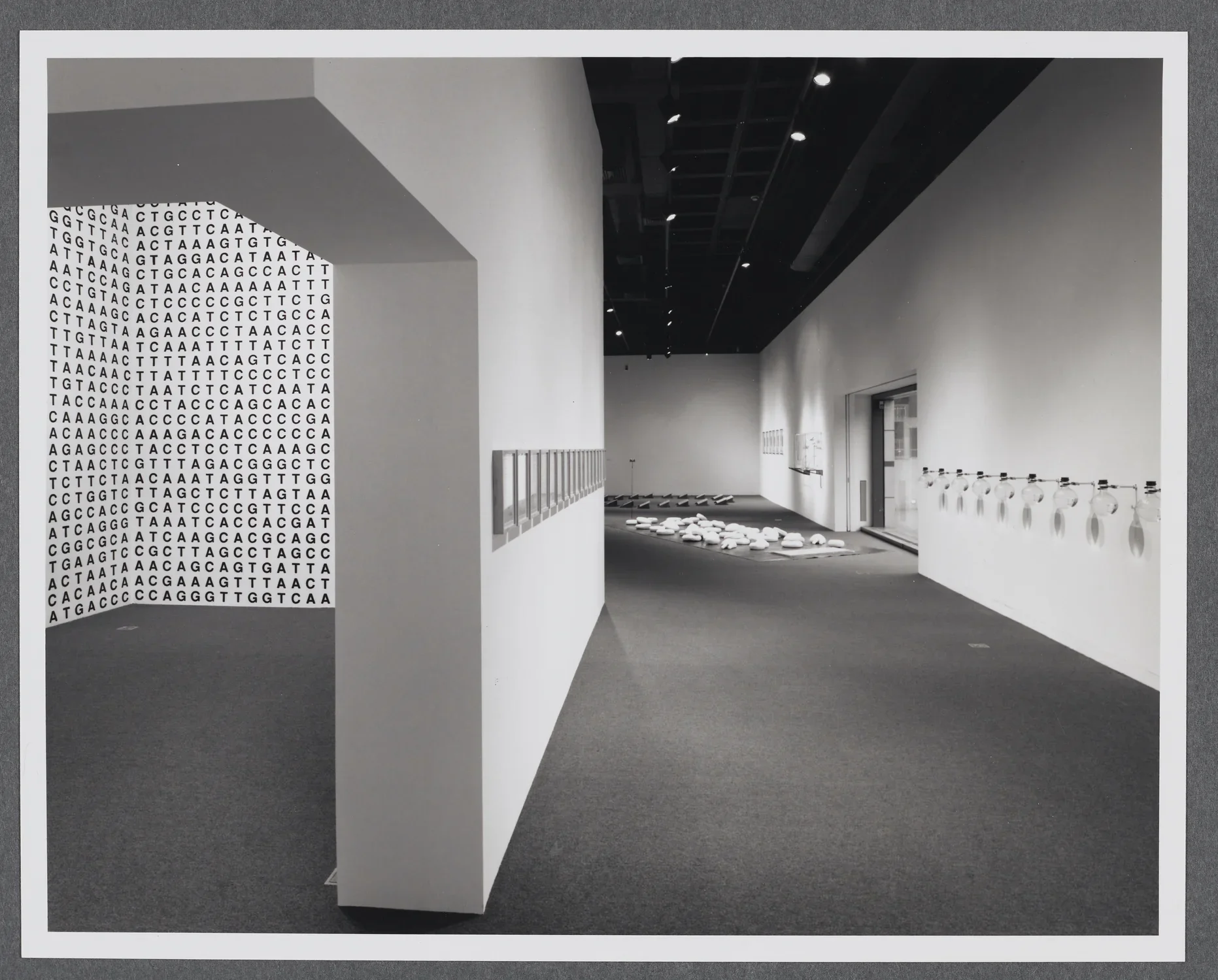 The entrance to a separate room in the gallery opens up on the left and a view of the rest of the gallery is on the right. 