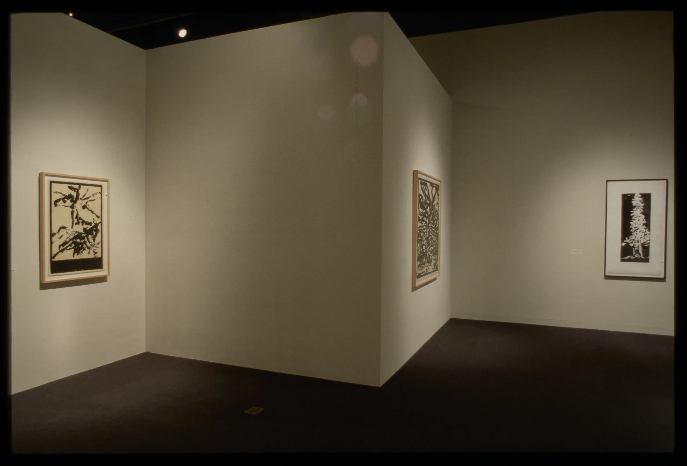 Three large framed woodblock prints of a tree and other abstract nature images hang on three different gallery walls. 