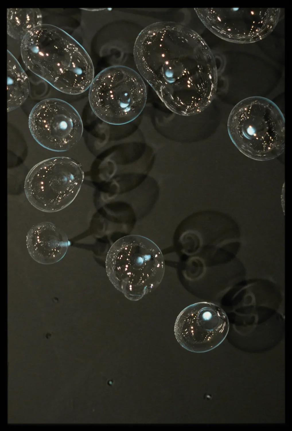 Close up view of glass bubbles and their shadows, each with a stem anchoring the bubbles to the dark surface.