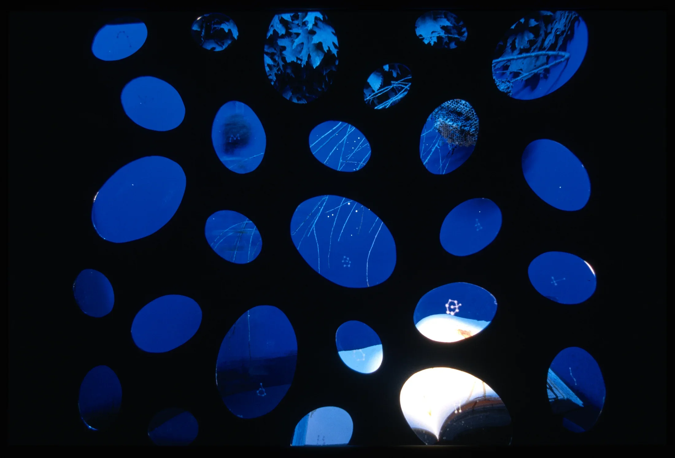 Twenty six elliptical glass lenses reveal glimpses of leaves and delicate twigs, small letters and circular images.