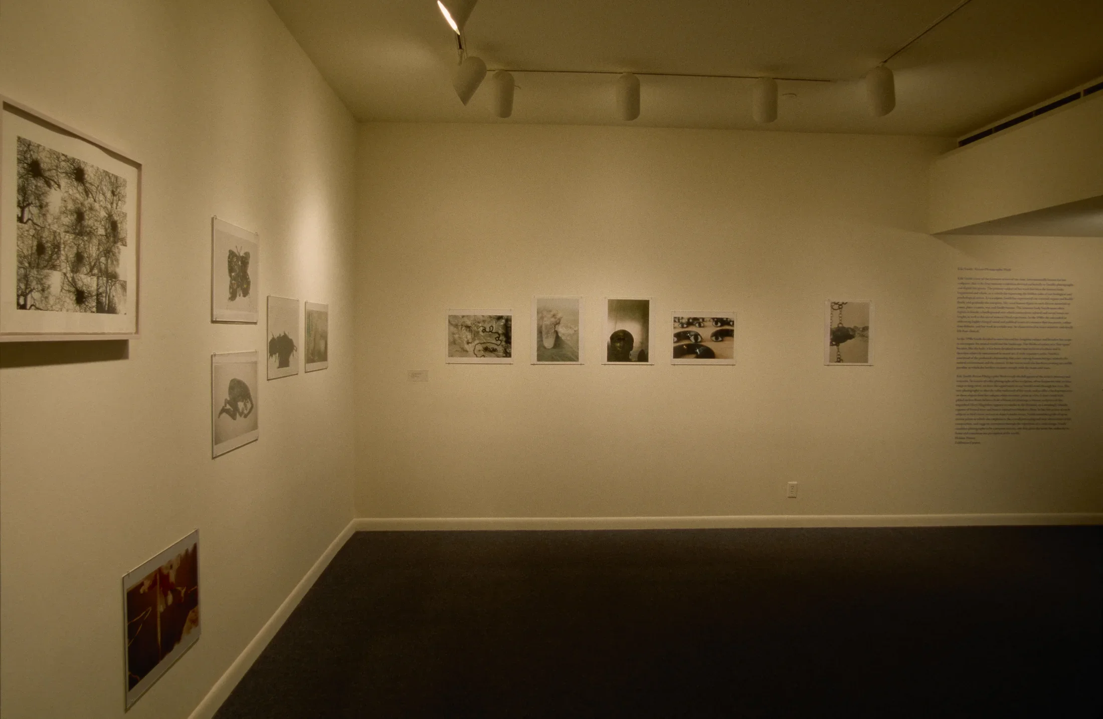 Monochromatic and color photographic prints mounted on 2 walls in a corner of the gallery