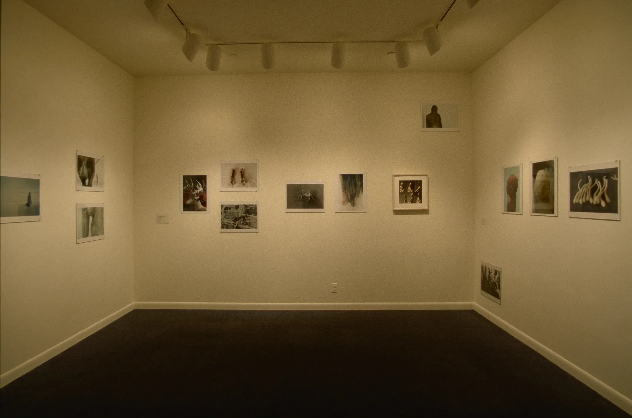 14 muted-color and monochromatic prints arranged at various heights on 3 gallery walls