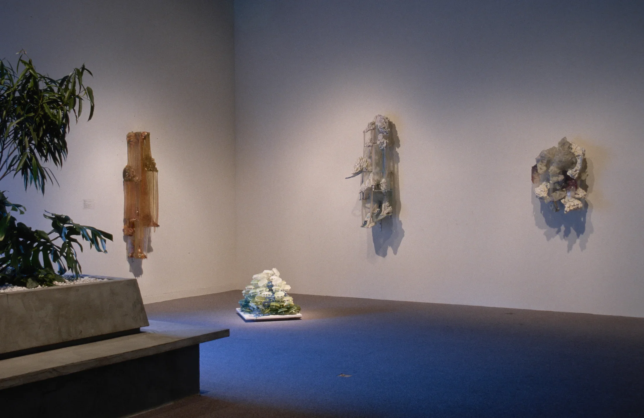 Green leaves in a bench planter point to a low floor sculpture and 3 organically-shaped sculptures hung on corner walls.