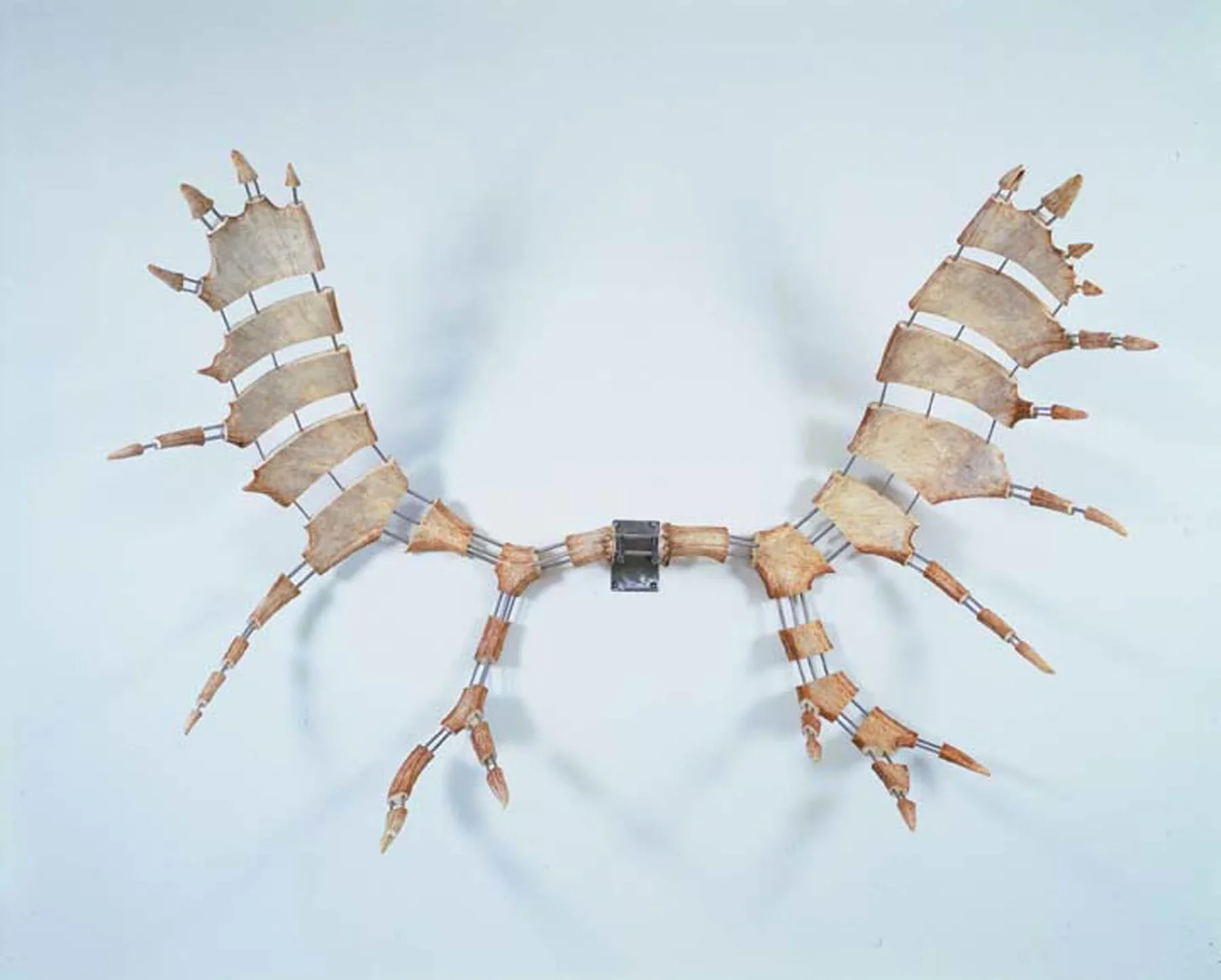 Moose antlers mounted to white wall with stainless steel
