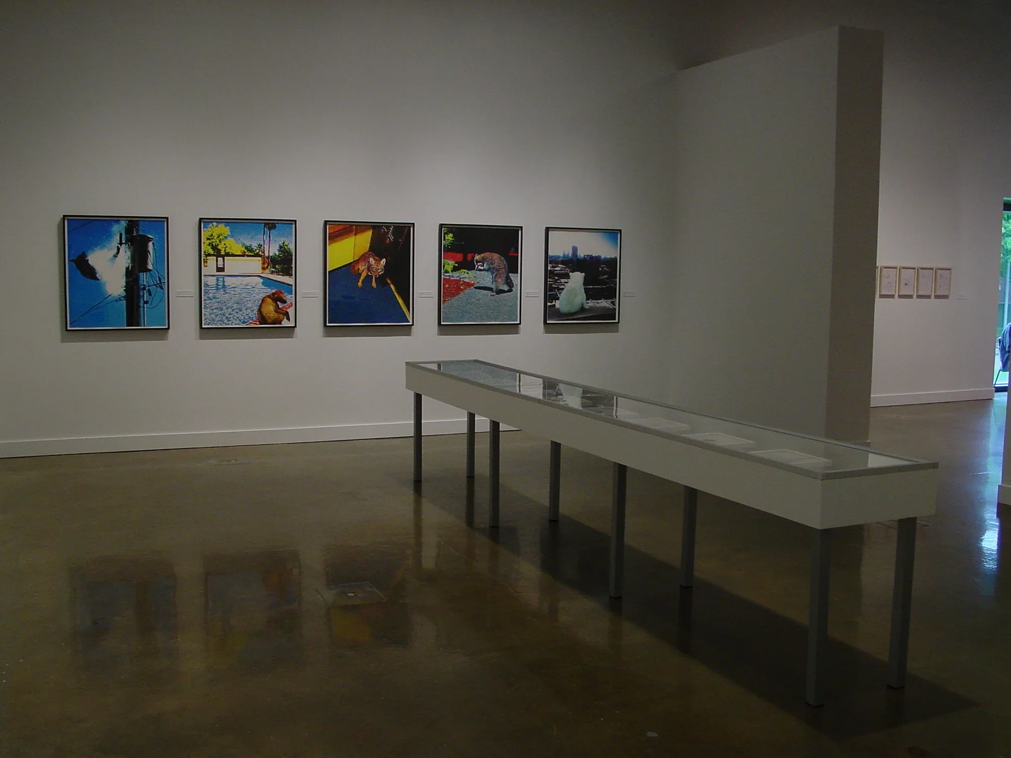 Five brightly colors framed works hang on the wall behind a long table-like vitrine on the gallery floor