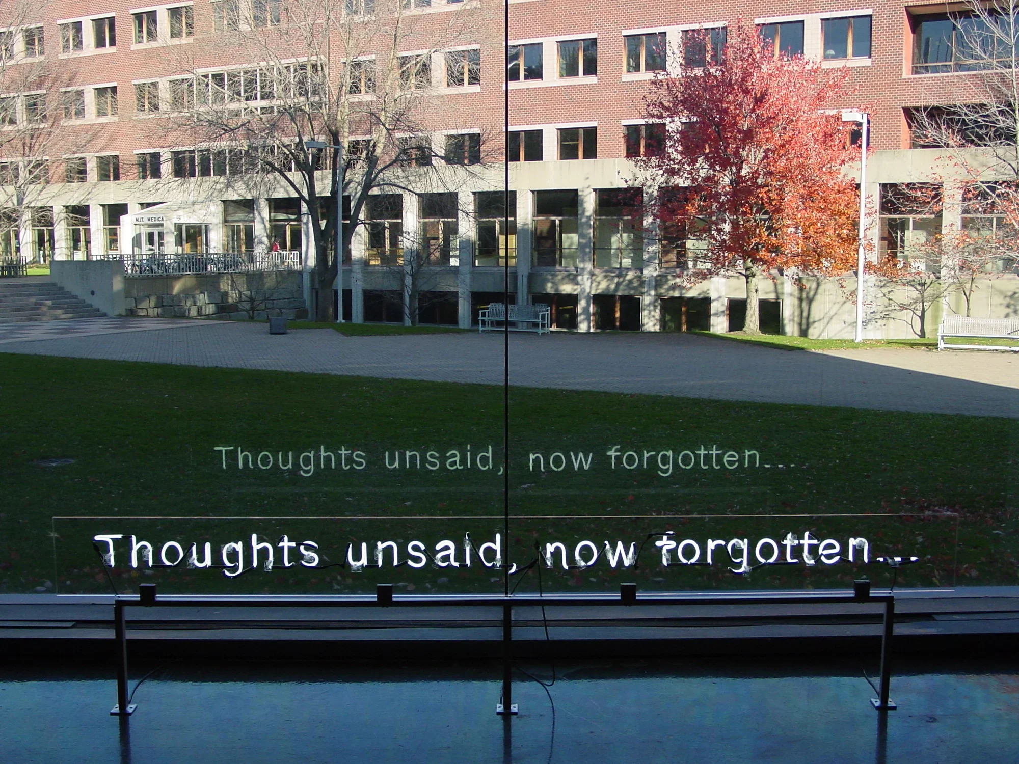 Neon light artwork installed in front of a window, its reflected text appears like a caption for the sunny view outdoors.