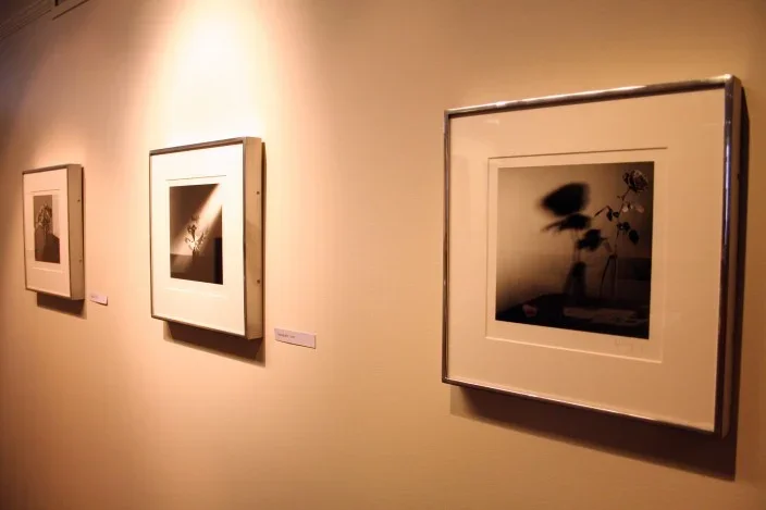 Three black and white images study flowers through contrast, such as shadows and beams of light.