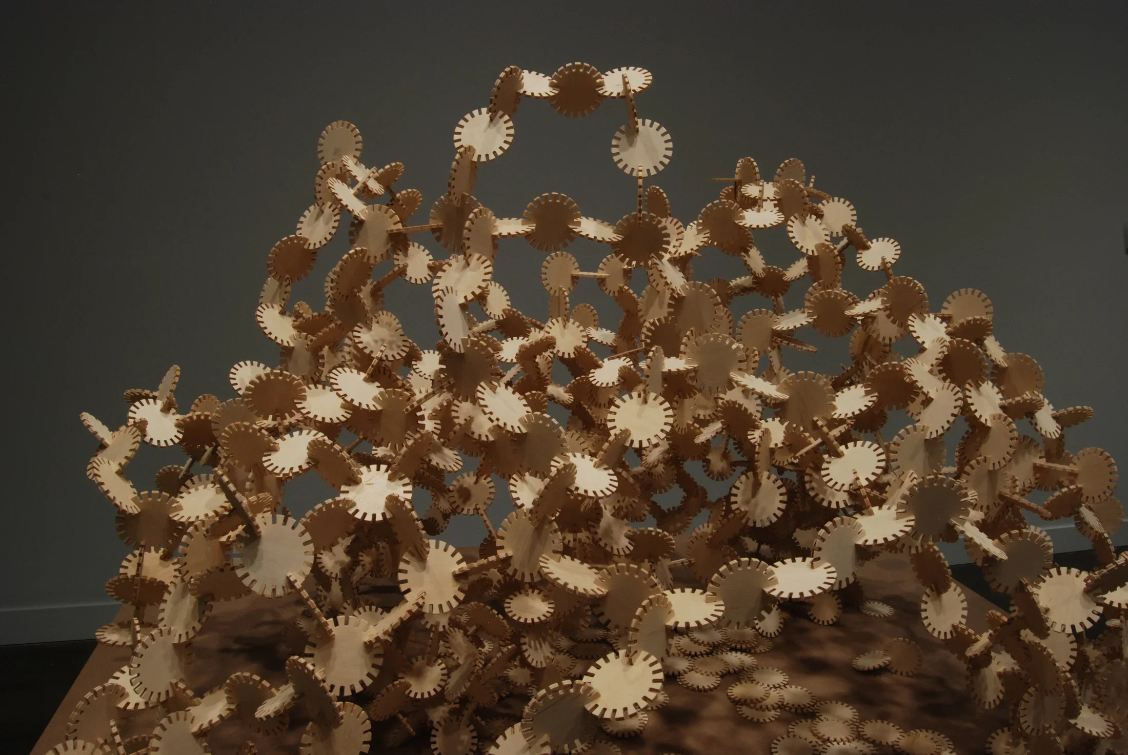 Tan-color, small round discs with cut-out notches around edge connect to form an airy, dome-shape mound.