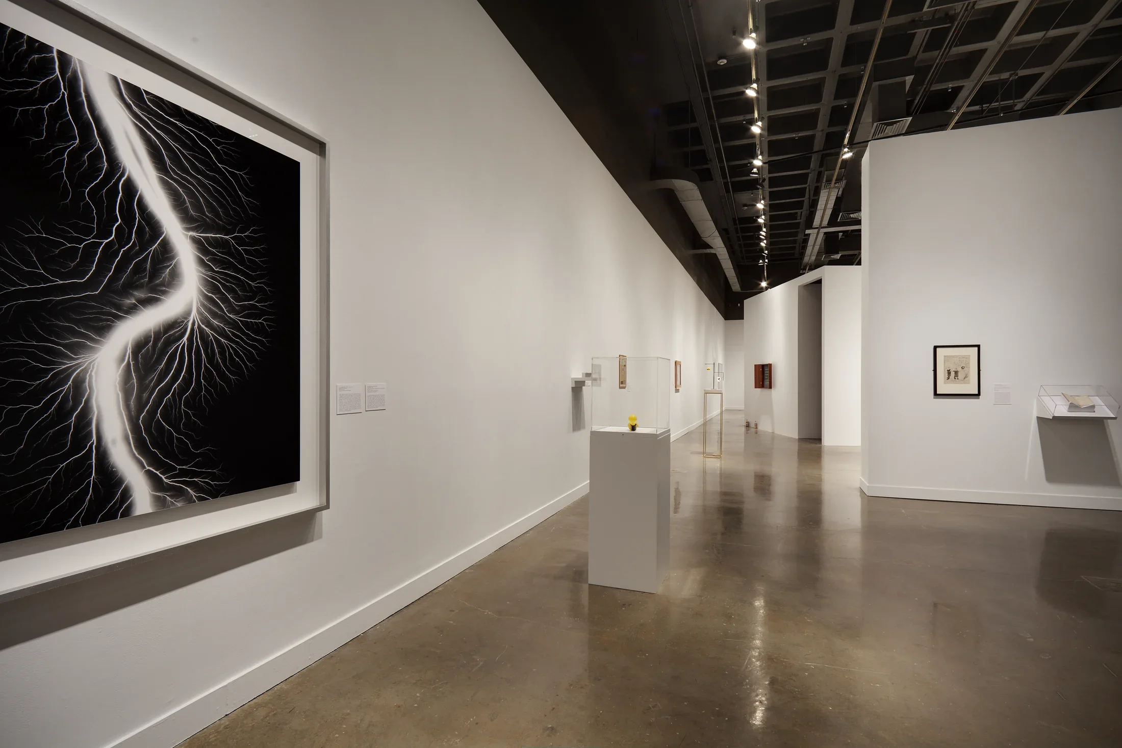 Stands, pictures on the walls, and on the left, a framed photo of a white curvy snake like shape against black, 