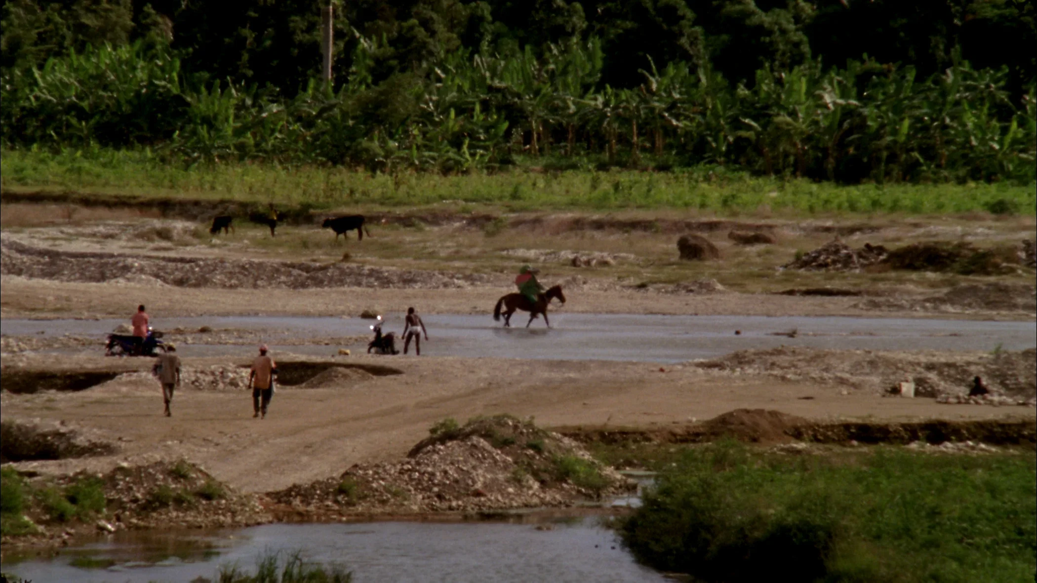 A long shot of people and animals on a watery rugged patch of land, lined with dense vegetation in the background.