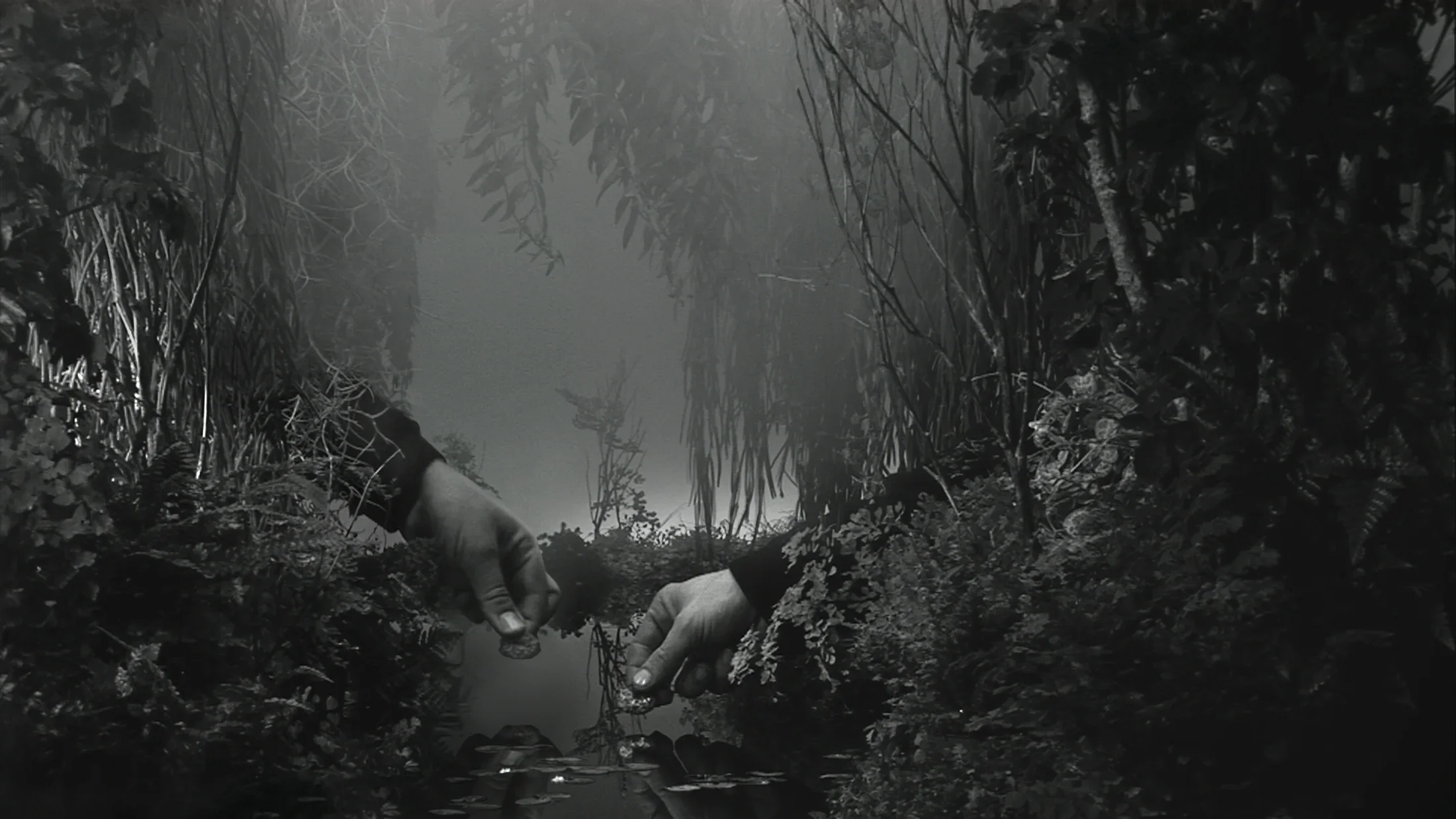 2 hands reach into a lush jungle landscape formed by dirt mounds and vegetation silhouetted in hazy back light.