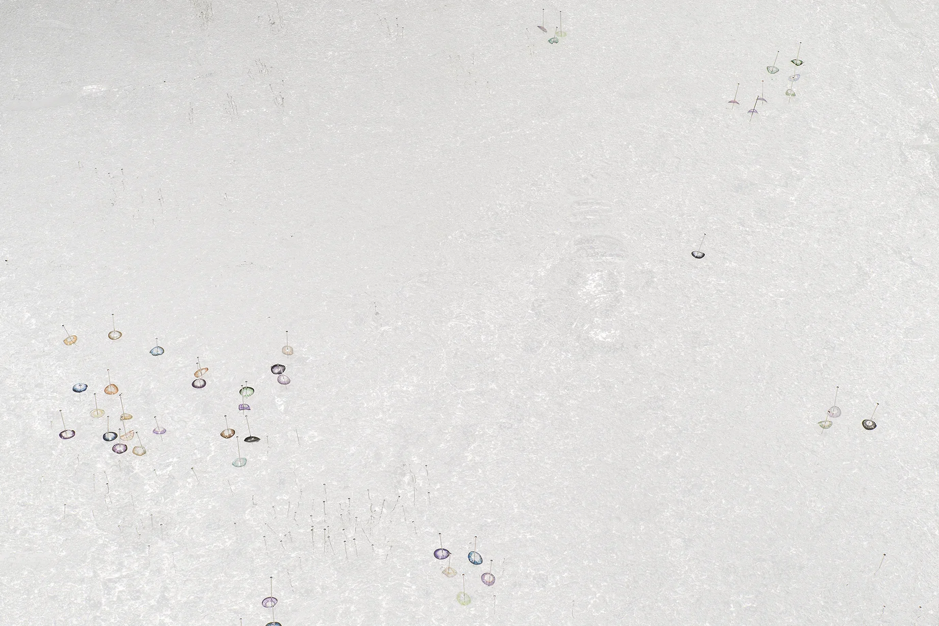 Groupings of colored contact lens, each stuck with a pin, float in a large container filled with translucent hair gel.  