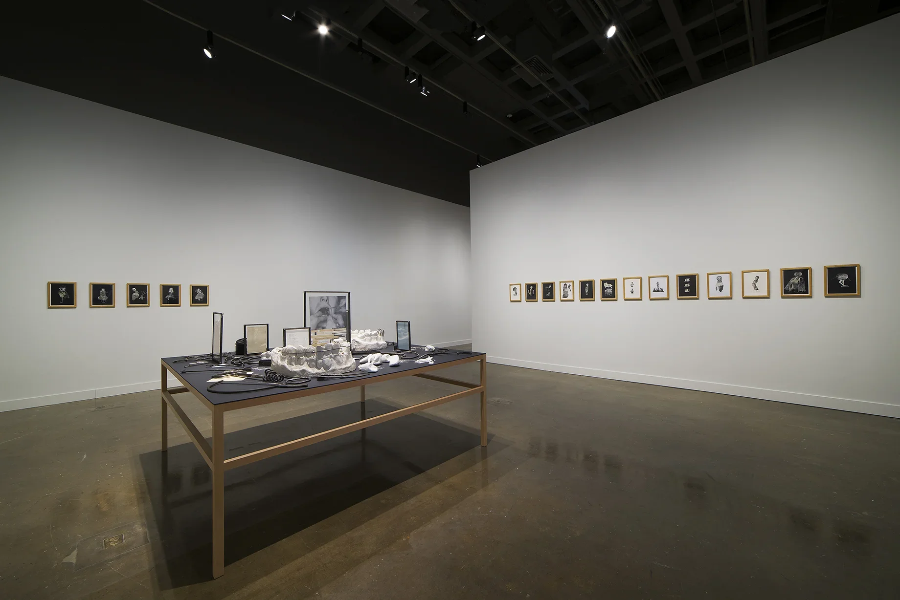 Installation view of Eva Koťátková: Out of Sight at MIT List Visual Arts Center, 2015.