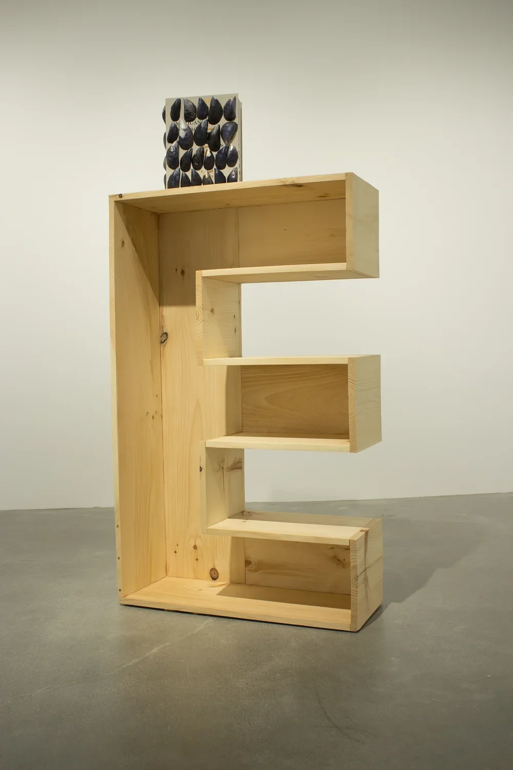 A book with mussell shells adorning the cover rests on top of a bookcase shaped like the letter E.