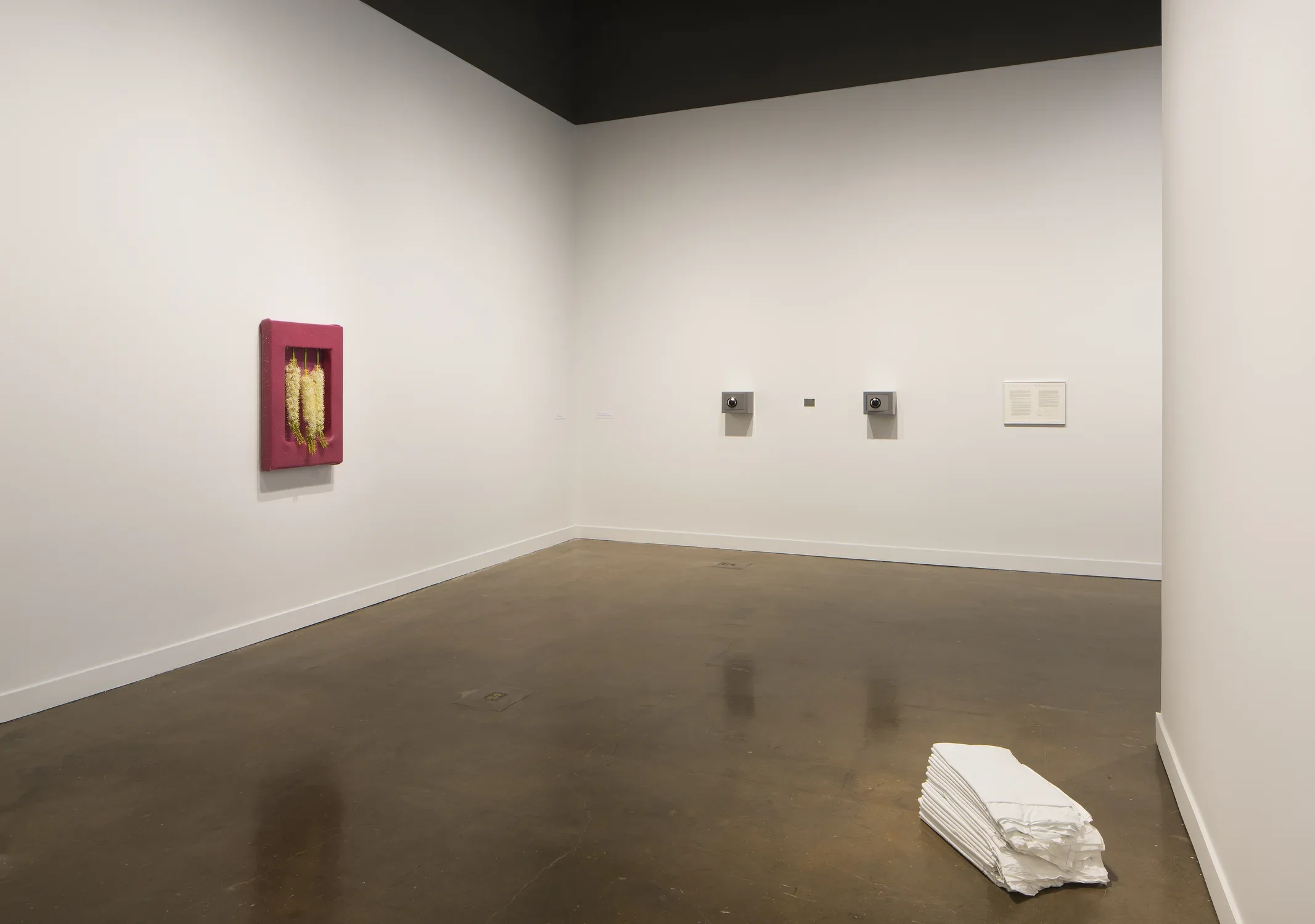 Installation view of An Inventory of Shimmers: Objects of Intimacy in Contemporary Art, MIT List Visual Arts Center, 2017