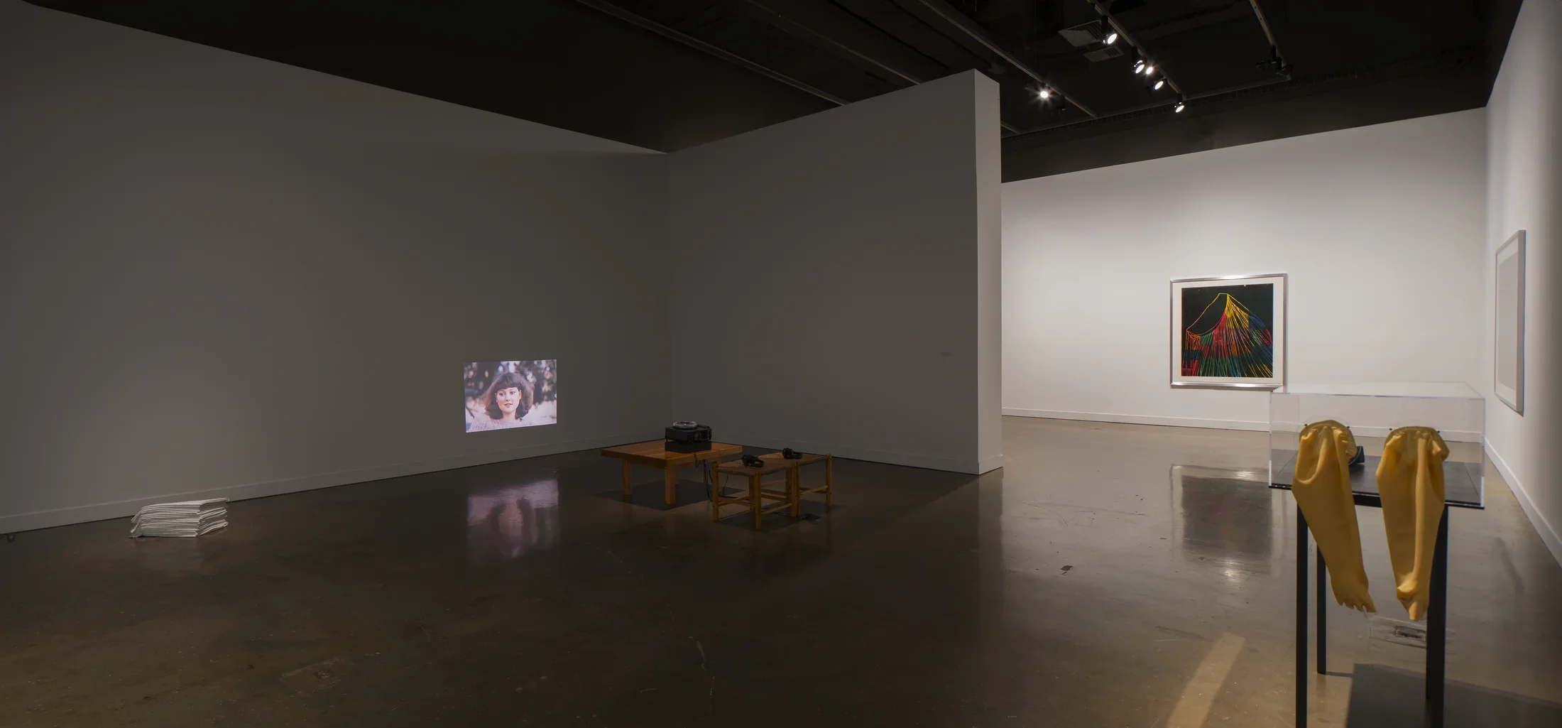 Installation view of An Inventory of Shimmers: Objects of Intimacy in Contemporary Art, MIT List Visual Arts Center, 2017