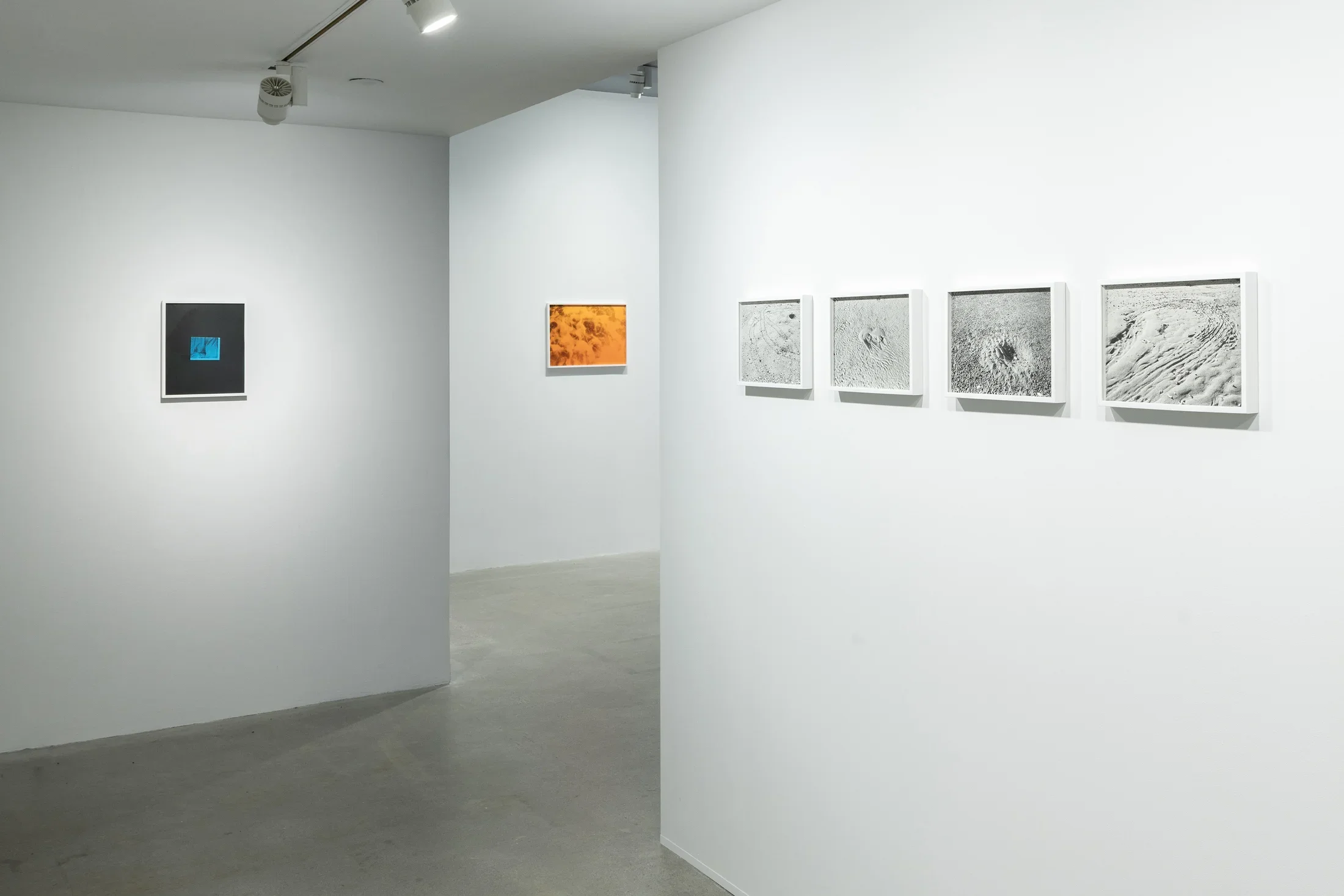 4 black and white photos of horseshoe crab tracks imprinted in sand and 2 color photos lead viewers into the exhibition.