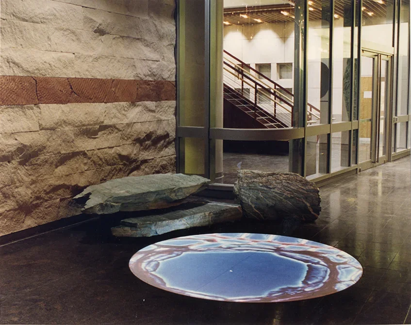 assemblage of natural materials onto which images are projected