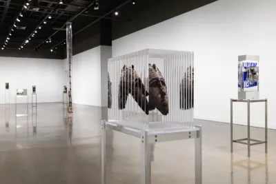 A sculpture of a wooden head in side a block of clear resin on a metal stand with other sculptures in the background.