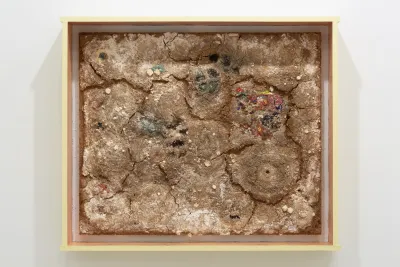 Framed artwork made of various materials such as hair, sperm, resin, wood, and paint with a rough surface that resembles dried dirt with cracks in it.