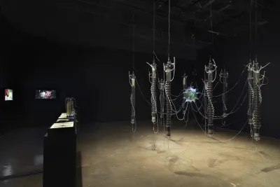 : In a dark room, a large hanging sculpture made of glass, algae, and water hung from above that resembles a spider, across from a table lit to display scientific documents. Adjacent is a two-channel video.