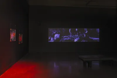 Two Plexiglas panels with engraved, overlapping ovals are bathed in red light and suspended to the left, adjacent to a panoramic video of wolves in a deep purple tint.