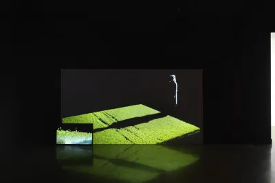 Documentation of performance work. The artist, a blonde-haired figure stands in front of a rectangular bed of live cress, her shadow casting a long silhouette of her figure onto the plants. A smaller screen in the bottom left details the cress’ reaction.