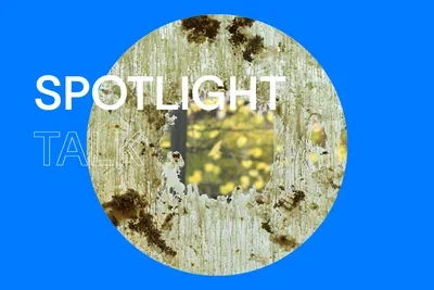 Blue background that reads "Spotlight Talk" in uppercase, bold white letters. There is a circular image of  a close-up of beeswax and dried flora smeared across the gallery window. A tree with yellow leaves is outside.