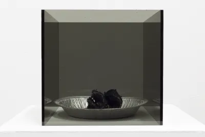 A smoke-grey transparent black plexiglass box with the top open contains the by-product of an exothermic reaction. The by-product is a solid black carbon form that has a serpent-like structure and sits inside an aluminum pie pan with black sand.
