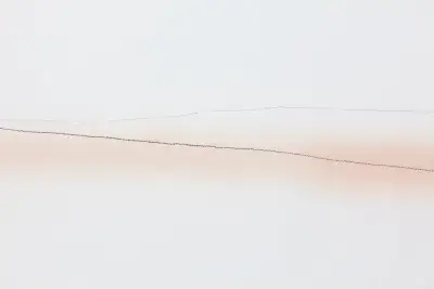 A dark organic line is drawn horizontally in the middle across a white background. There is a slightly faded organic line above the dark line and a orange transparent haze around the dark line.