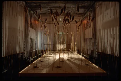 A house shaped structure has pampas grass in the center. The gallery is lit by a light at the center of the installation.