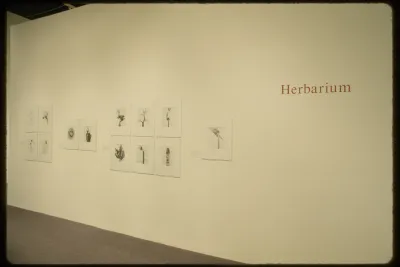 Thirteen grouped small black and white photographs of flora hang on a gallery wall next to orange label reading “Herbarium”.