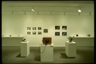 Different types of cameras sit on pedestals and on shelves. Black and white photographs are pinned to the gallery wall.