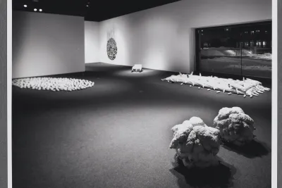 Sculptures are configured in separate installations on the gallery floor. All of the sculptures are organically shaped. 